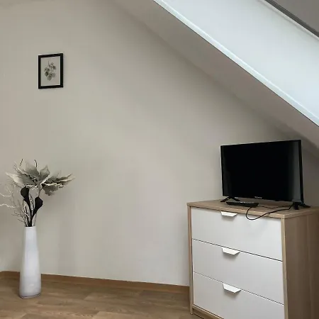 Pensjonat Zeleny Haj Merklín