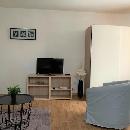 Zeleny Haj Guest house